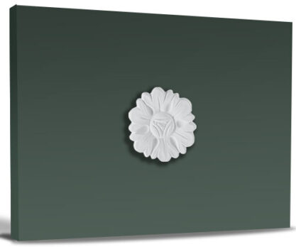Rozet RS.204